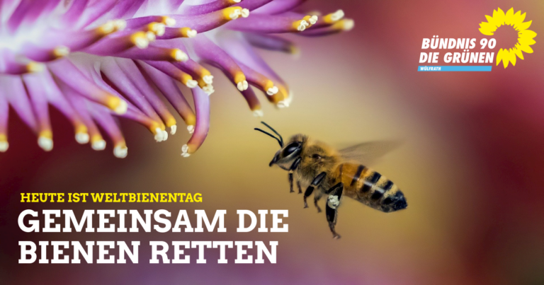 Welttag der Bienen