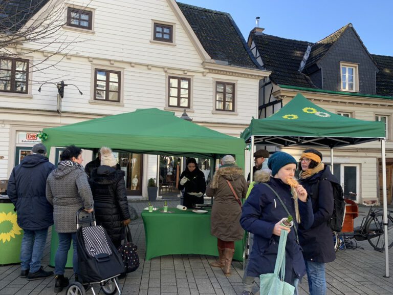 GRÜNER Infostand und Fest der Demokratie